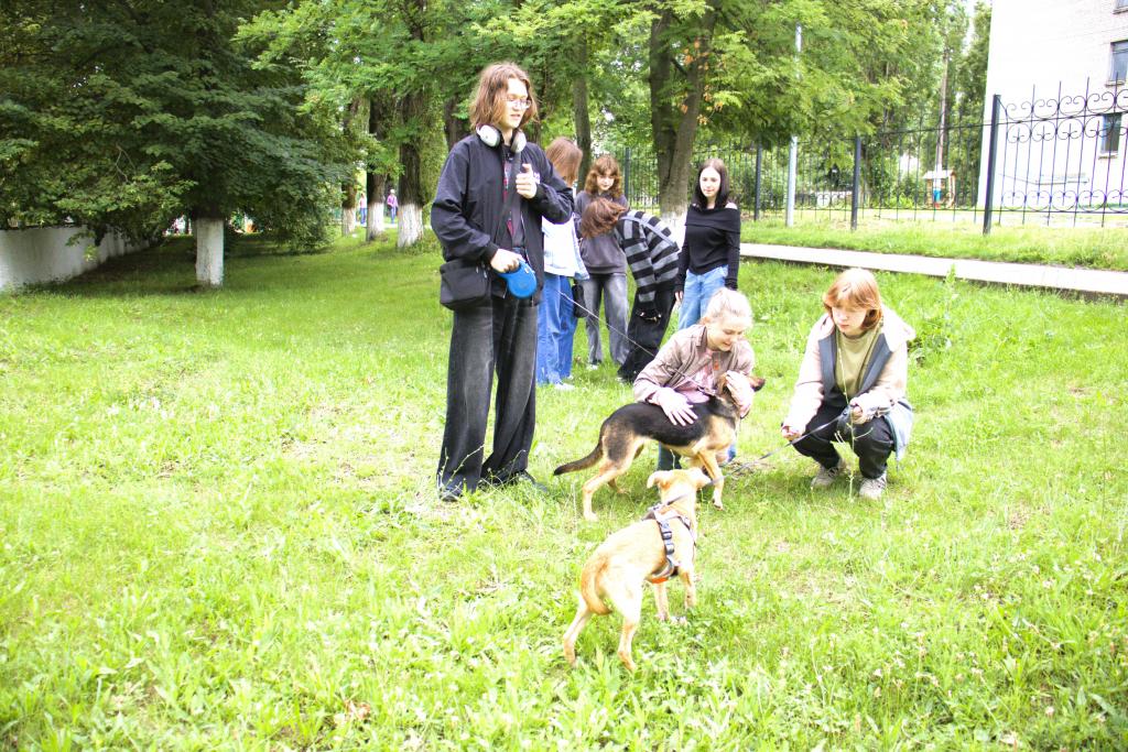 Мастер-класс с кинологом